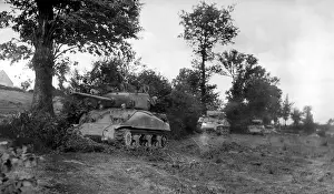 Hedgerows: Four U.S. Sherman tanks hiding in a Norman Hedgerow