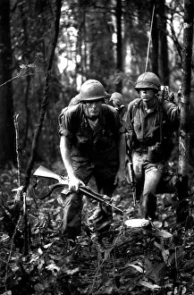 Searching: U.S. soldiers armed with an M14 rifle survey the