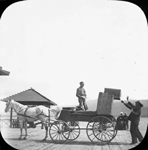 Handlers: USA - Baggage Smashers