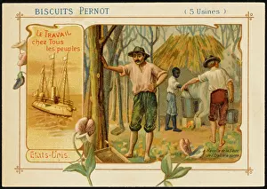 Pernot: USA - Maple Sugar