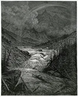 Felled: USA/MISSISSIPPI RIVER