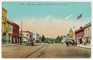 Jane George: USA/PACIFIC GROVE