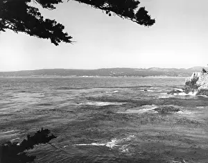 Lobos: USA/POINT LOBOS