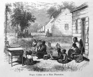 Amerian: USA/S CAROLINA 1874