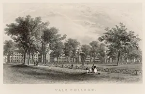 Yale: USA YALE UNIV 1876