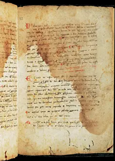 Lords: Usages of Barcelona and primitives constitutions