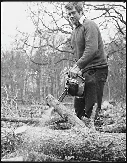 Sawdust: USING A CHAINSAW