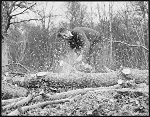 Sawdust: USING A CHAINSAW