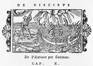 Spearing: USING FIRE TO CATCH FISH