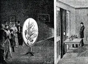 Opaque: Using a megascope to project opaque objects (flowers