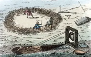 Threshing: Using an ox to raise buckets of water from a well