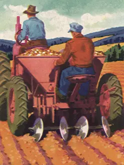 Evenly: Using a Potato Planter