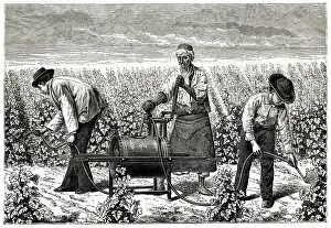Pests: Using Riley spray on greenfly in a vineyard, Algeria 1885