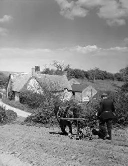 Kale: USING A SEED DRILL