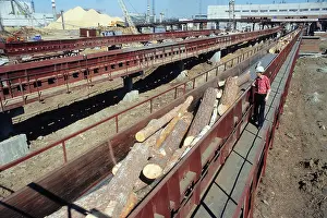 Transported: Ust-Ilimsk Timber Processing Complex, 1981