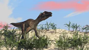Dromaeosaurid: Utahraptor in an arid climate