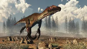 Utahraptor: Utahraptor dinosaur running in the desert