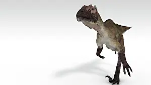Utahraptor: Utahraptor dinosaur, white background