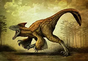 Textured: Utahraptor, a large dromaeosaur dinosaur from