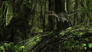 Dromaeosaurid: Utahraptor in a prehistoric forest