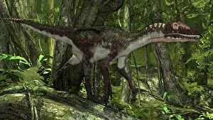 Dromaeosaurid: Utahraptor in a prehistoric forest