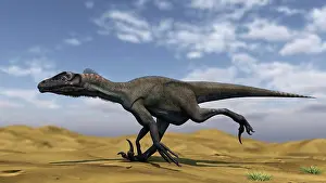 Utahraptor: Utahraptor running across a barren desert