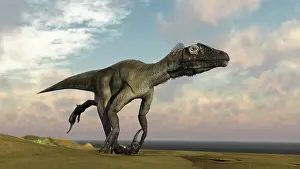 Dromaeosaurid: Utahraptor running across a barren desert