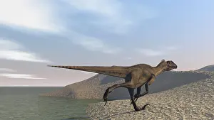 Dromaeosaurid: Utahraptor running along a bay