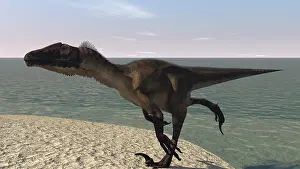 Close Up: Utahraptor running along a bay