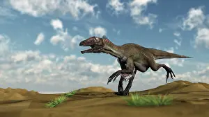 Utahraptor: Utahraptor running across a desert