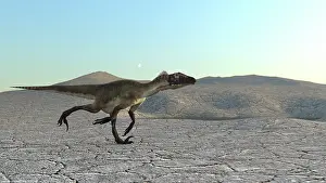 Clear: Utahraptor running across a desert landscape