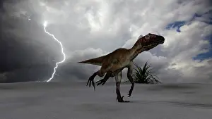 Thunderstorm: Utahraptor running across a desert during a lightning storm