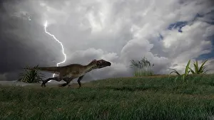 Thunderstorm: Utahraptor running across an open field during a lightning ?