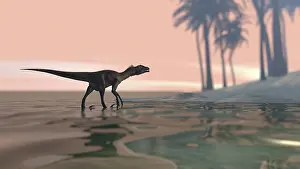 Dromaeosaurid: Utahraptor in shallow water