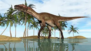 Utahraptor: Utahraptor standing in shallow water