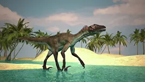 Riverbed: Utahraptor walking across a riverbed