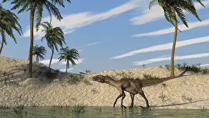 Dromaeosaurid: Utahraptor walking along the shoreline