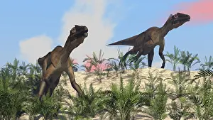 Dromaeosaurid: Two Utahraptors in an arid climate