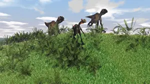Vulnerability: Two Utahraptors chasing a Gigantoraptor across a grassy ?
