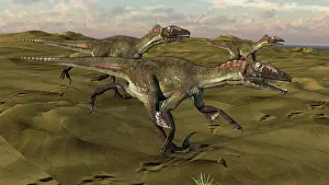 Utahraptor: Three Utahraptors running across a desert landscape