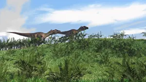 Dromaeosaurid: Two Utahraptors walking across a grassy field