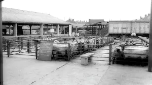 Uttoxeter: Uttoxeter, Cattle Market c1965