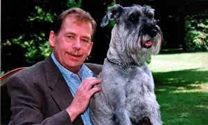 Dyula: Vaclav Havel - Dyula the dog
