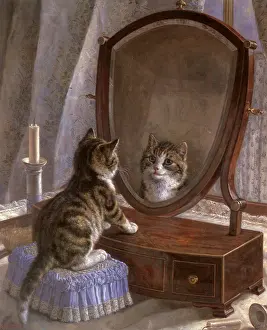 Vain: Vain Kitty
