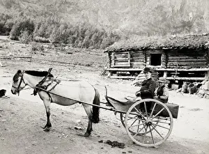 Buidling: Valders, Norway, pony and trap