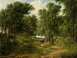 Vale: In the Vale of Amersham