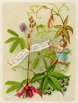 Thee: Valentine Card