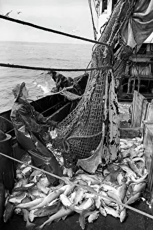 Redkin: Valery Chkalov trawler