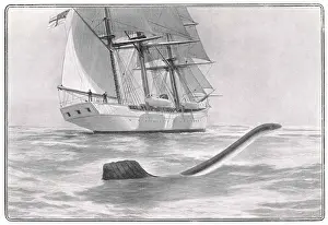 Valhalla: VALHALLA SERPENT