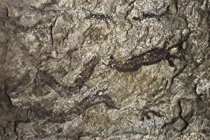 Gully: Vall de Gallinera. Gully of Beniali. Levantine